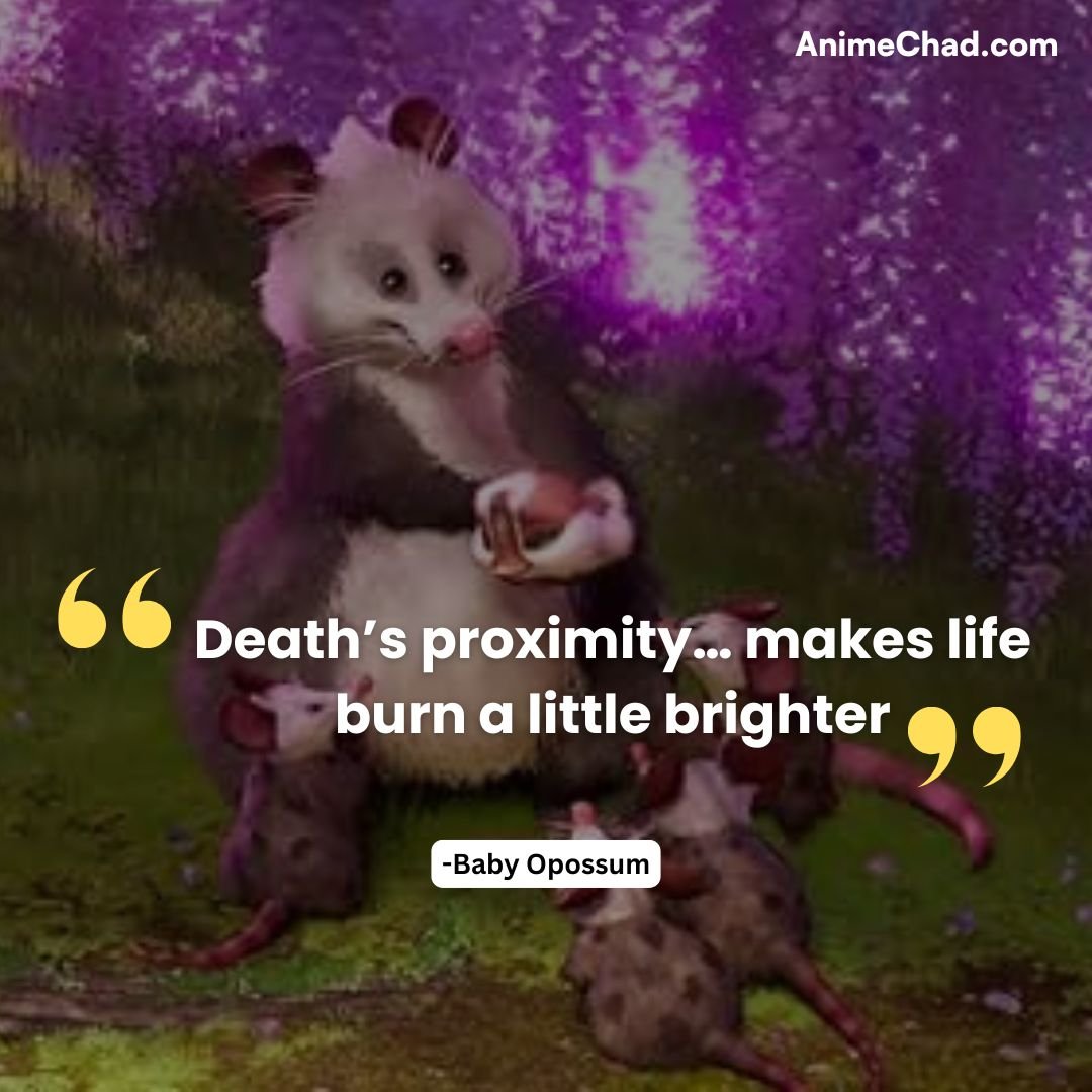 Baby Opossum Quotes