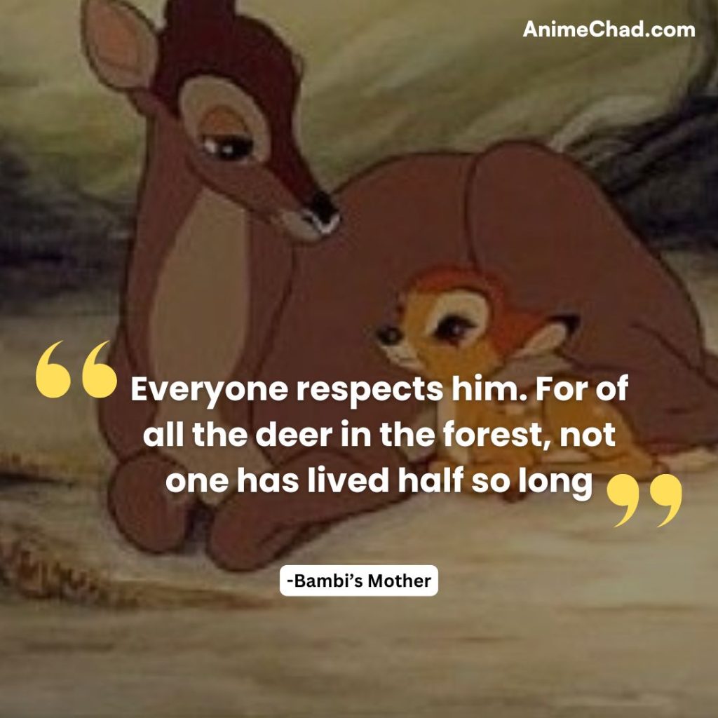 Bambi’s Mother Quotes (3)