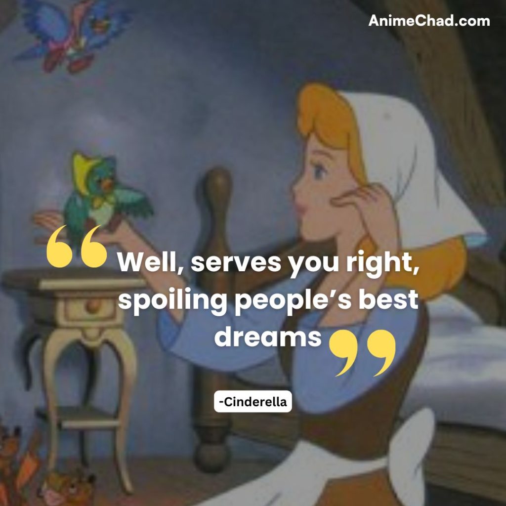 Cinderella Quotes (13)