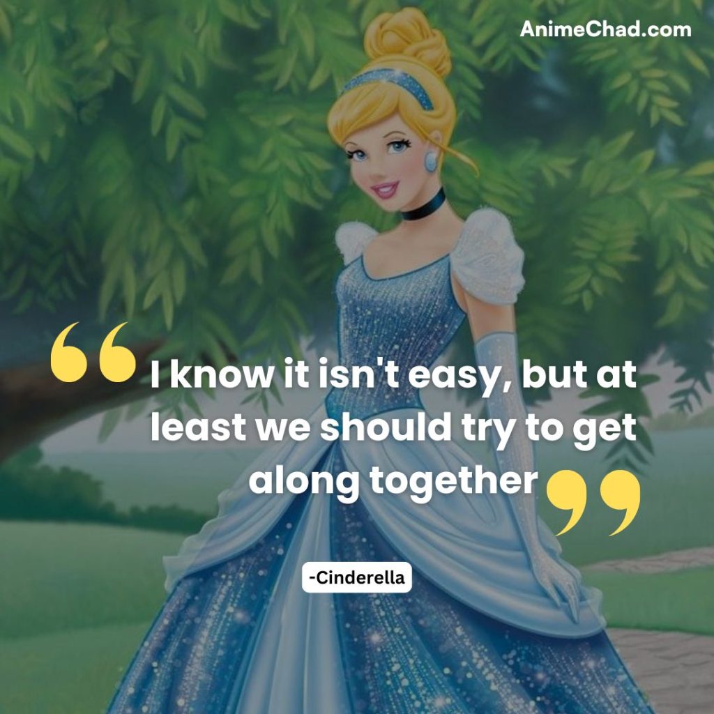 Cinderella Quotes (14)