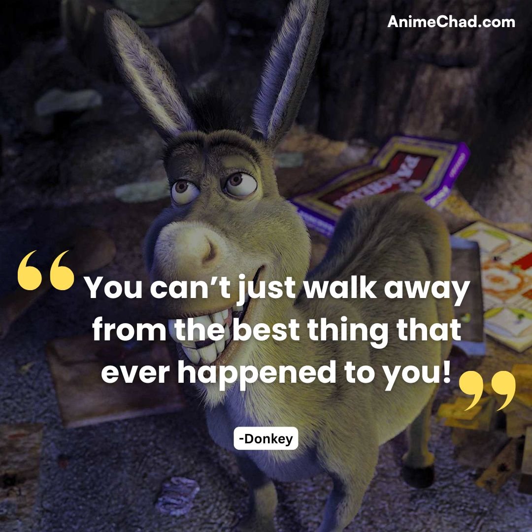 Donkey Quotes (1)