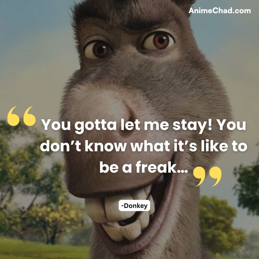 Donkey Quotes (1)