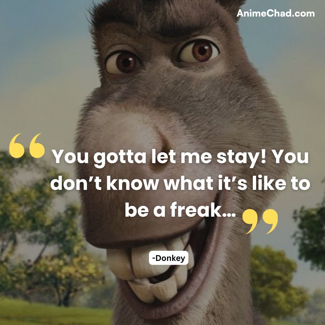 Donkey Quotes (1)