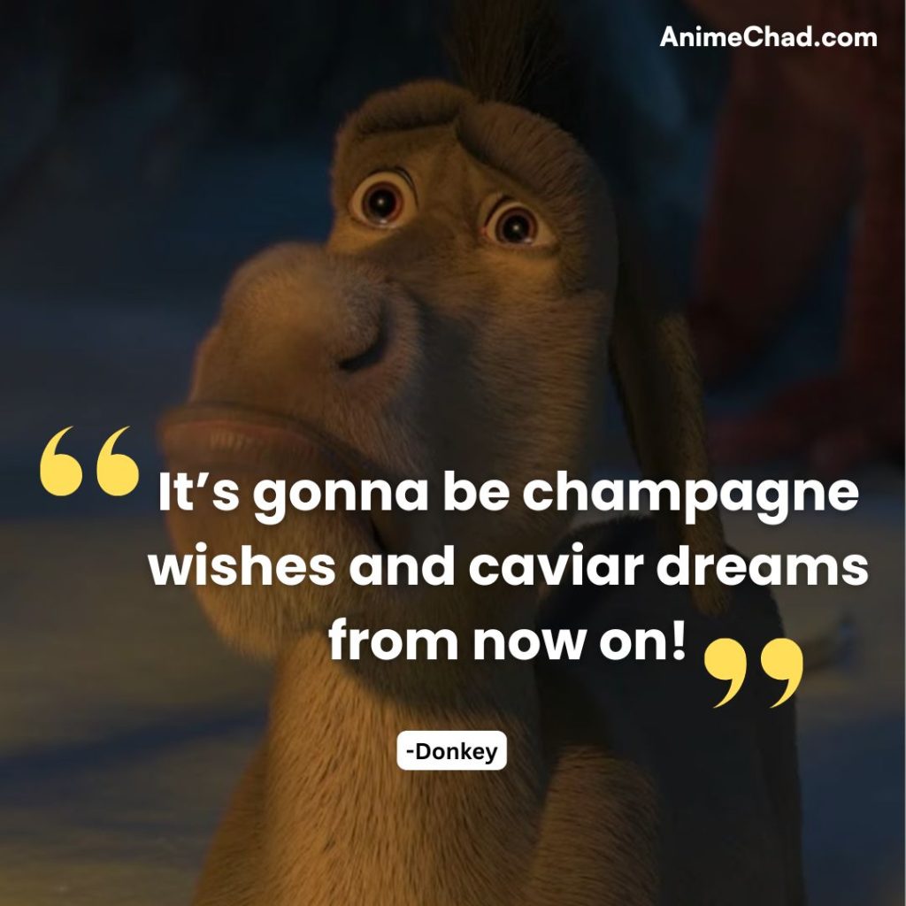 Donkey Quotes (2)