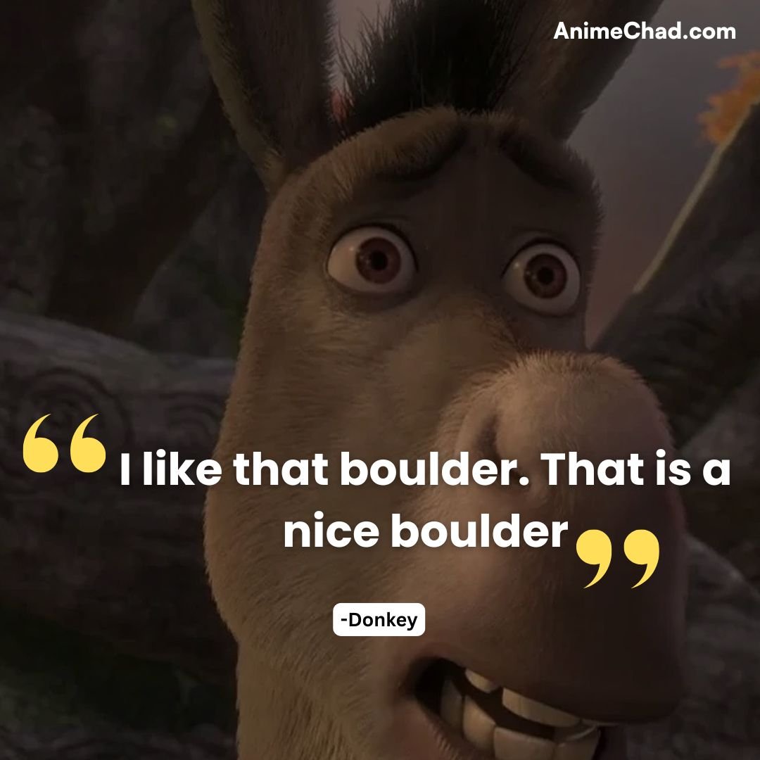 Donkey Quotes (3)