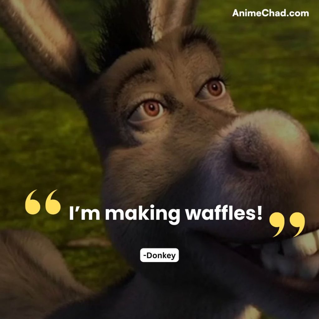 Donkey Quotes (5)