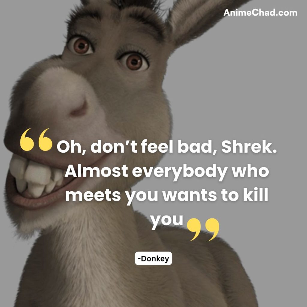 Donkey Quotes