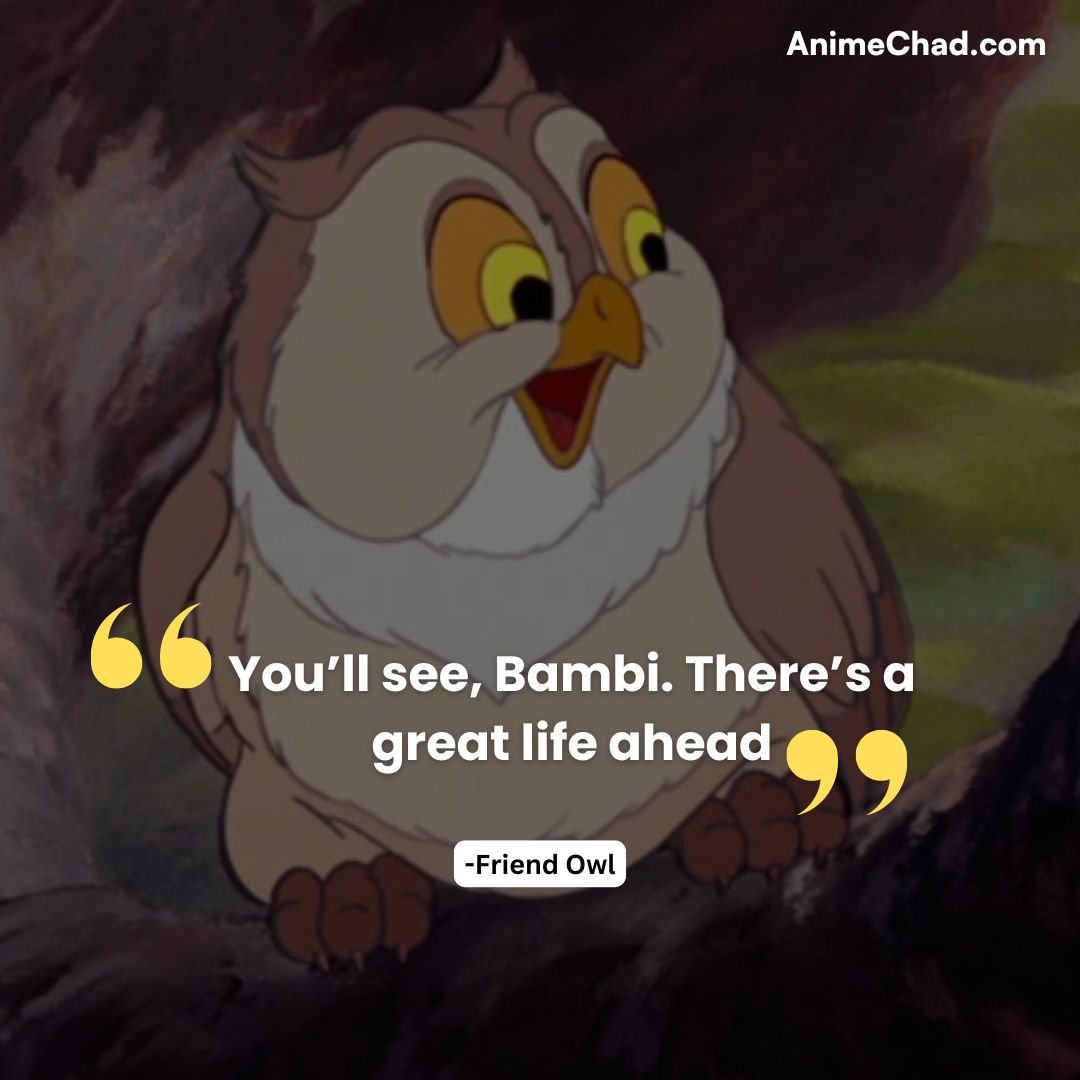 Friend Owl Quotes (1)