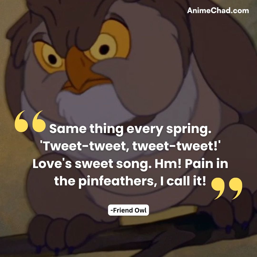 Friend Owl Quotes