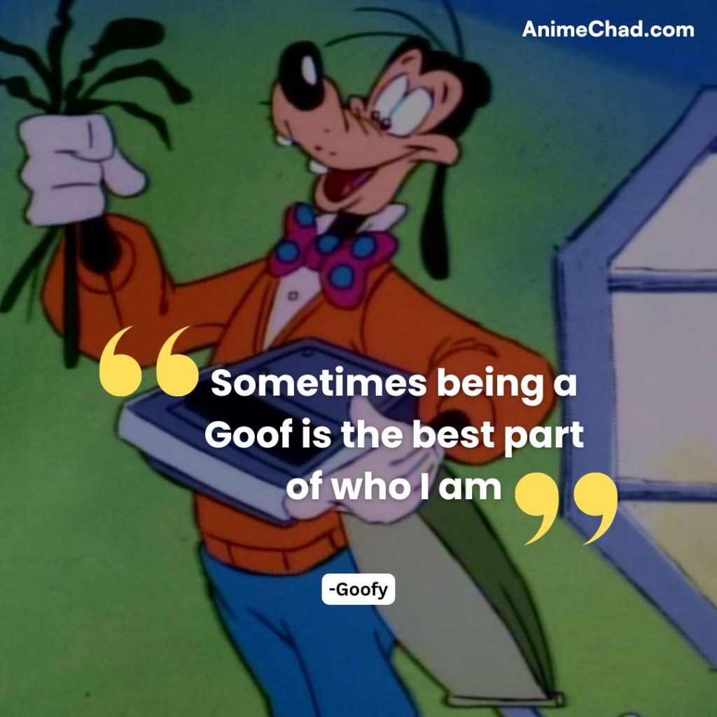 Goofy Quotes (6)