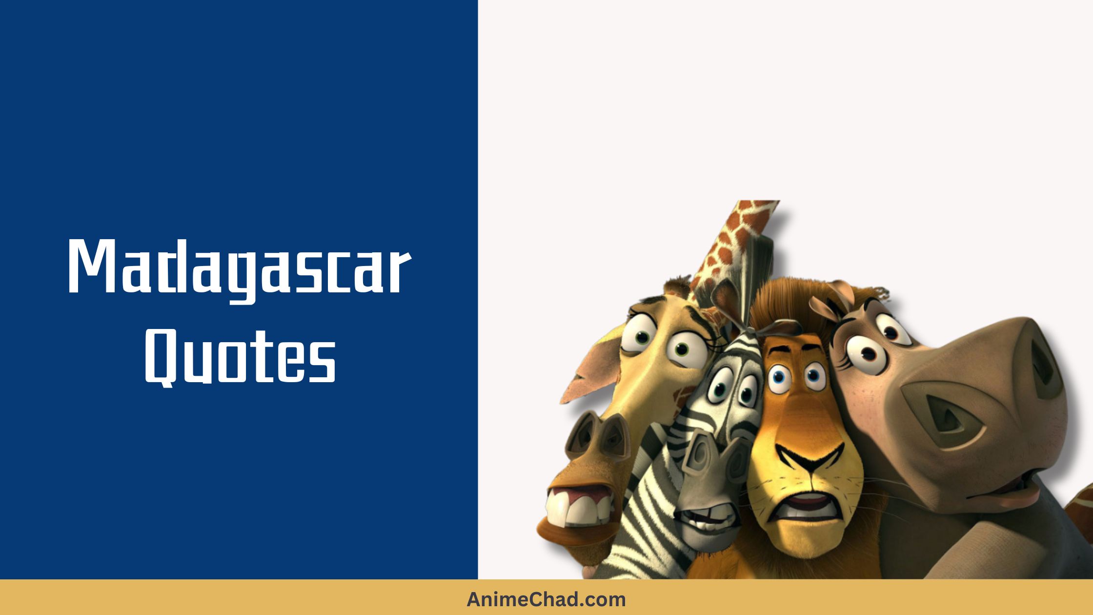 Madagascar Quotes