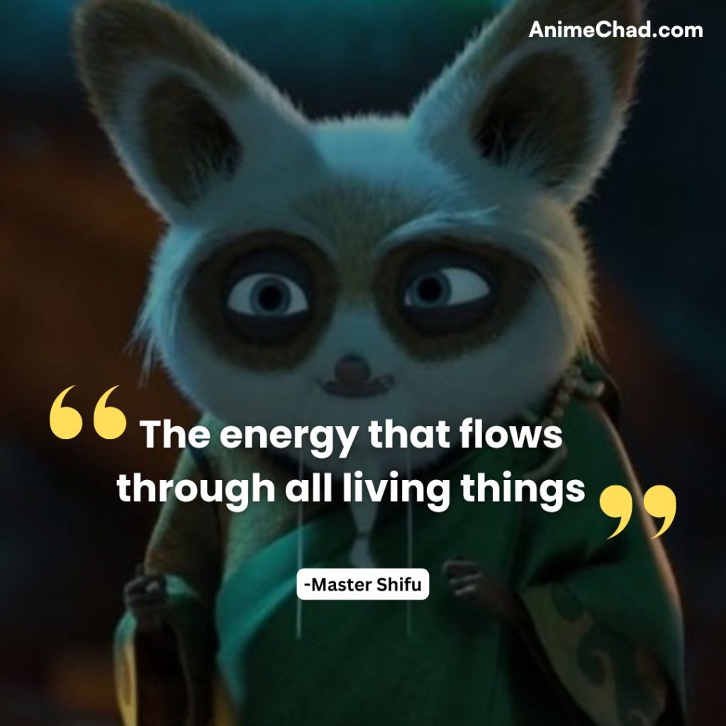 Master Shifu Quotes (5)