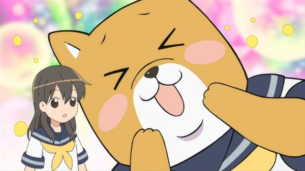 Shiba Inuko San