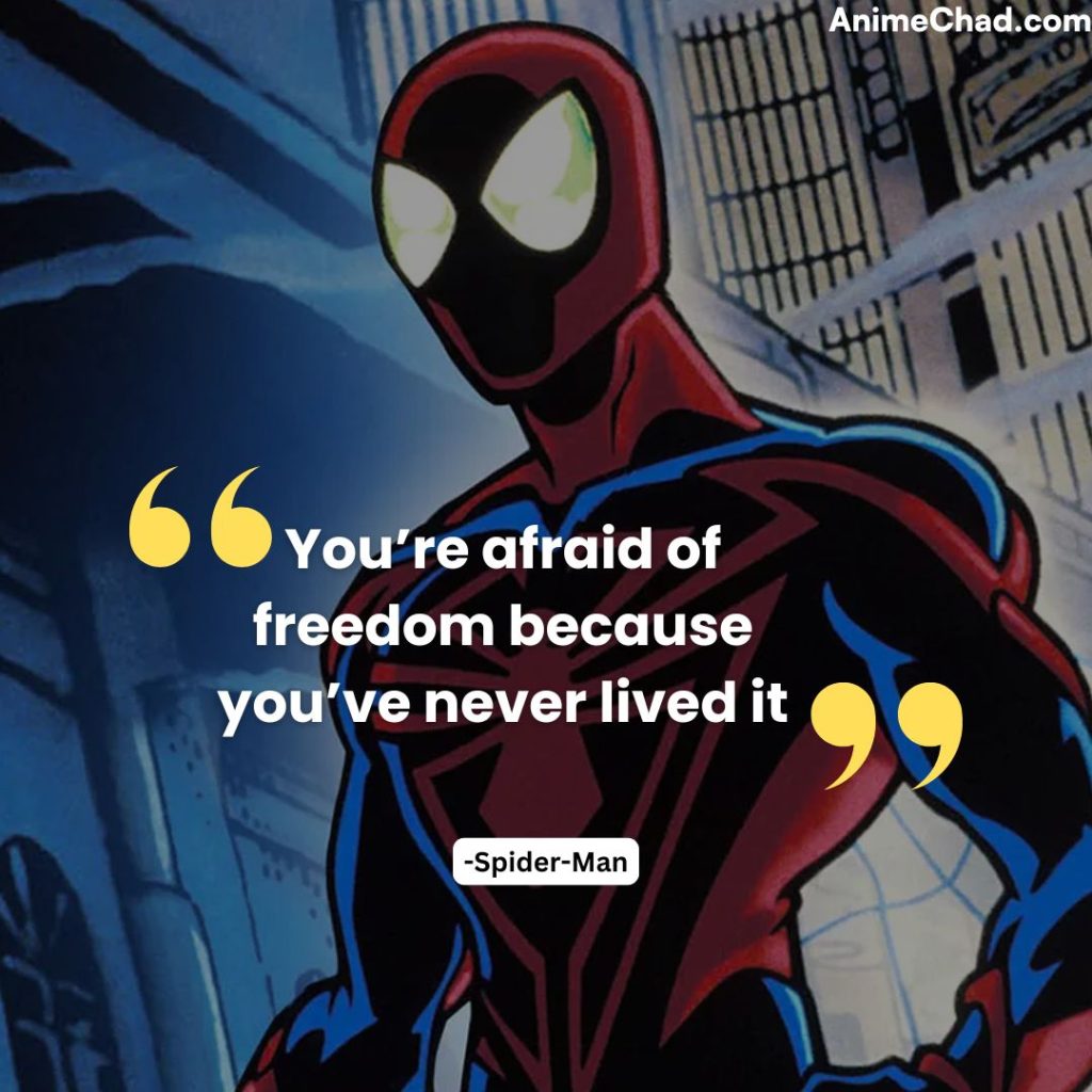 Spider Man Quotes (4)