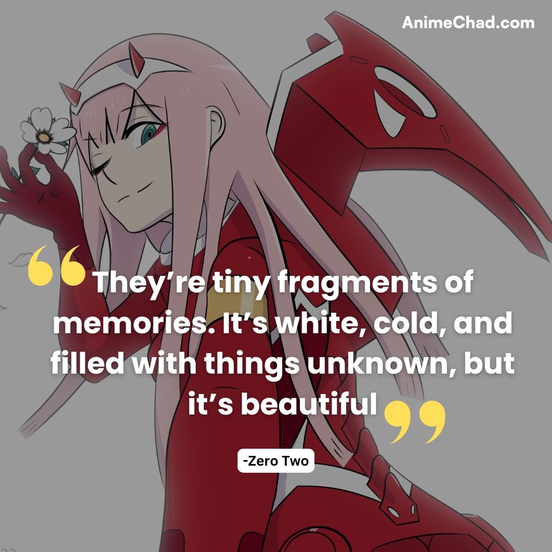 Zero Two Quotes (15)