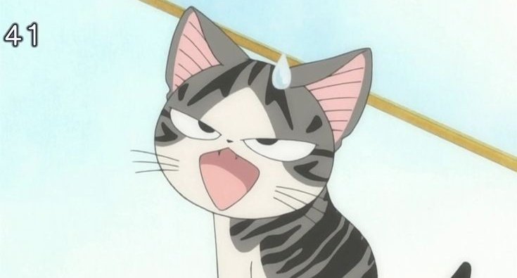 Chi’s Sweet Home