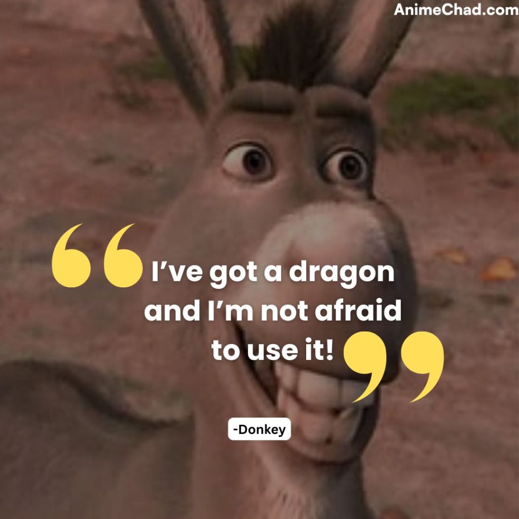 Donkey Quotes (1)