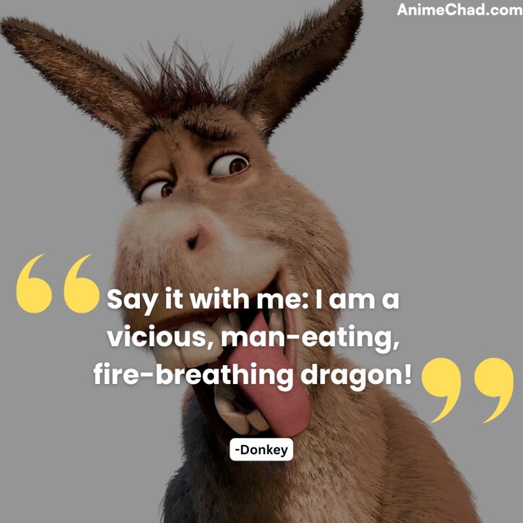 Donkey Quotes (2)