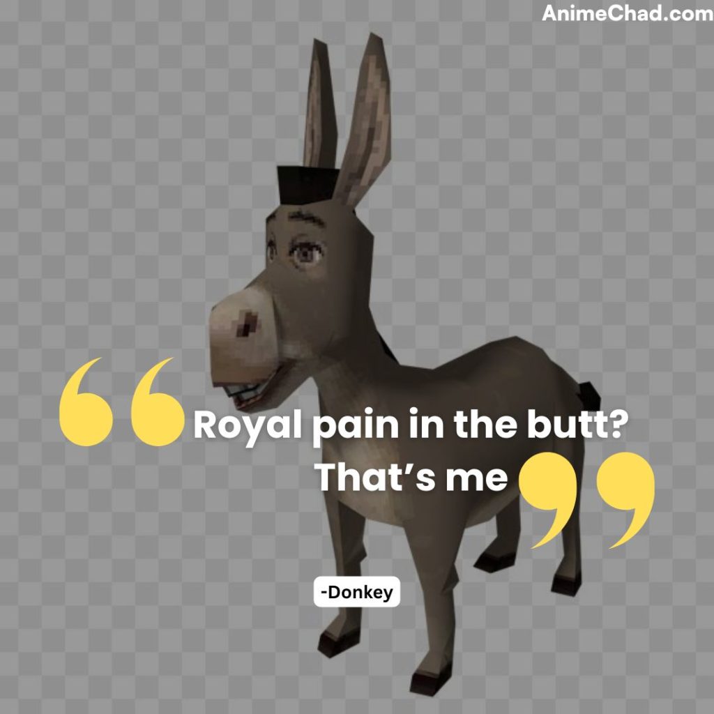 Donkey Quotes (3)