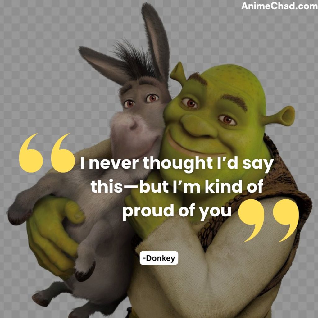 Donkey Quotes (4)