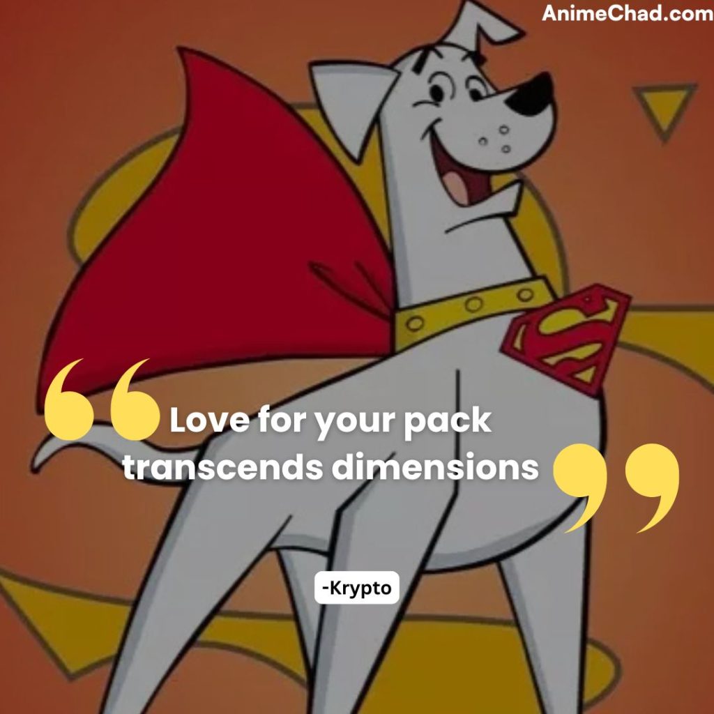 Krypto Quotes (4)