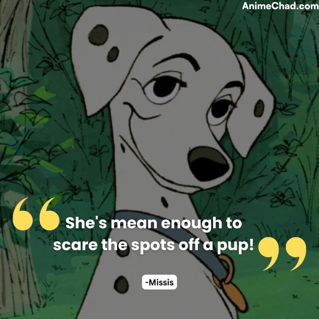 Missis Quotes