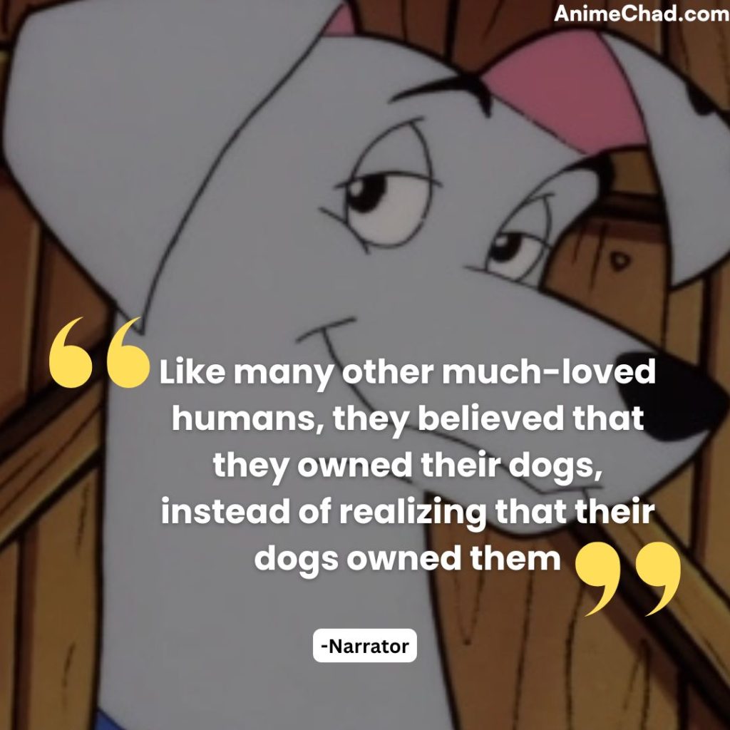 Narrator Quotes