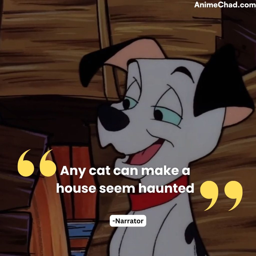 Narrator Quotes