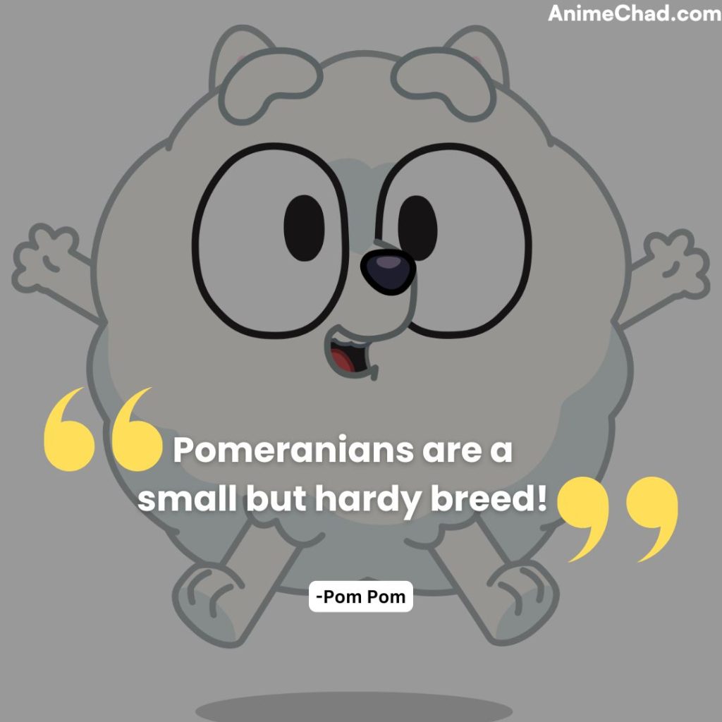 Pom Pom Quotes