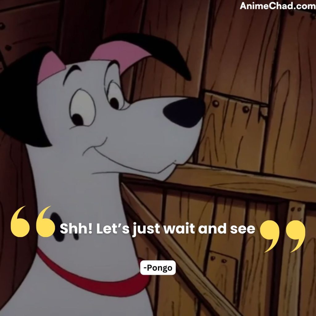 Pongo Quotes (1)