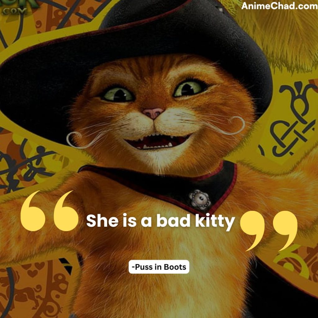 Puss In Boots Quotes (18)
