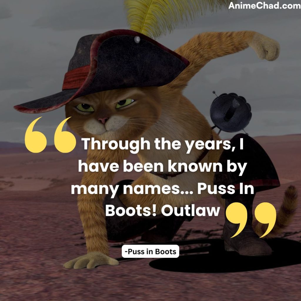 Puss In Boots Quotes (5)