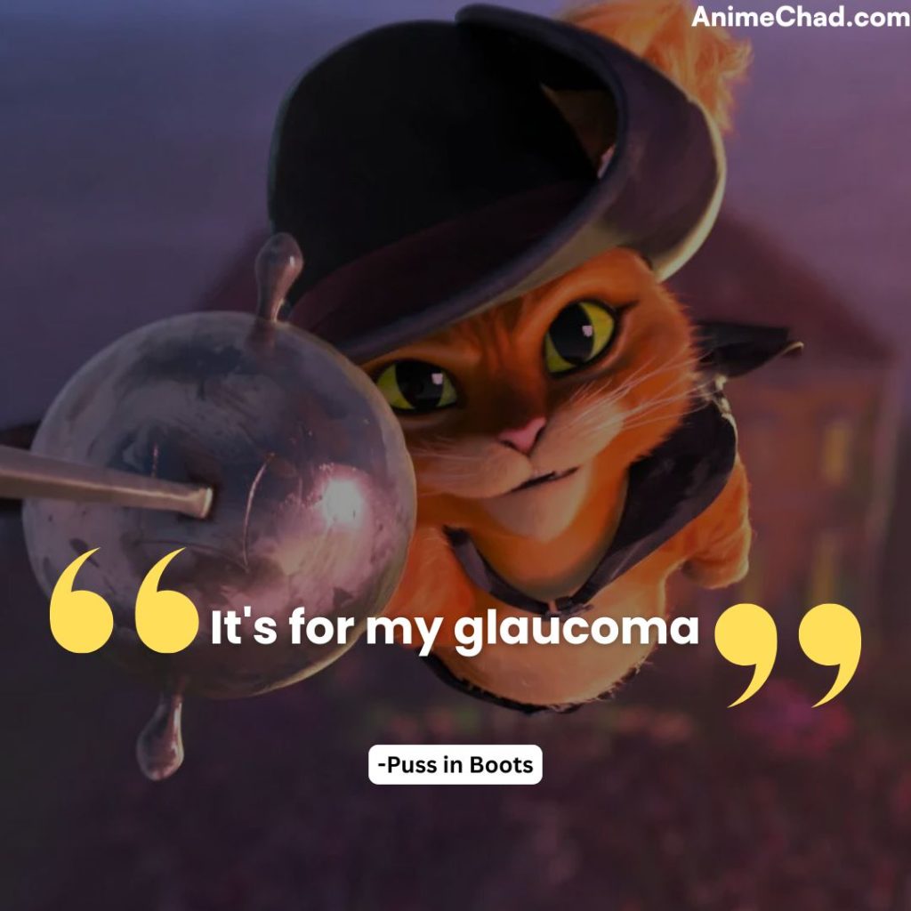 Puss In Boots Quotes (7)