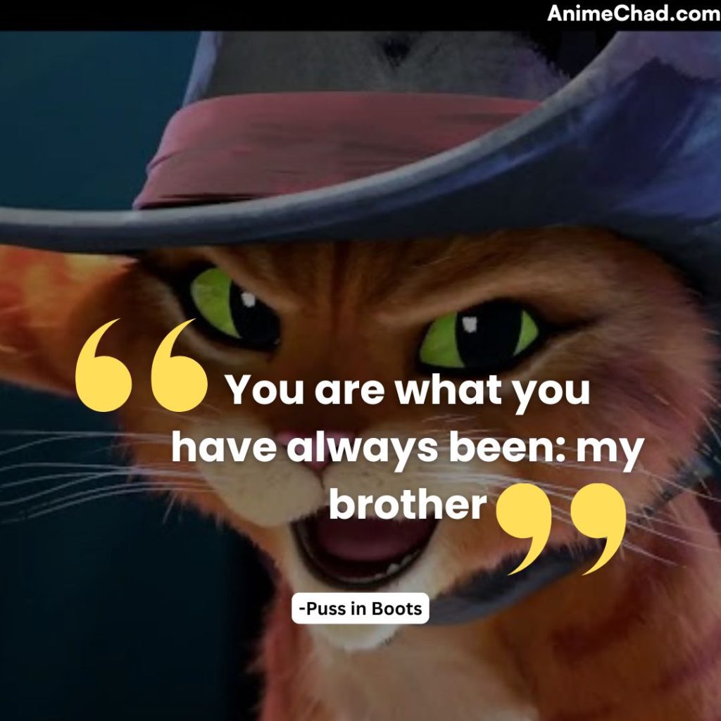 Puss In Boots Quotes (8)