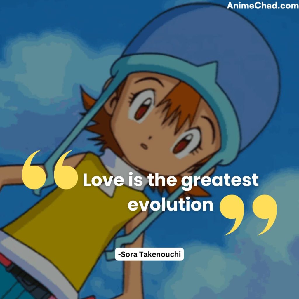 Sora Takenouchi Quotes (1)