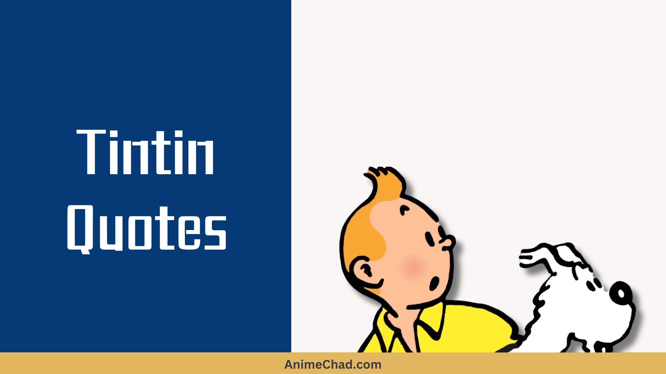 Tintin Quotes