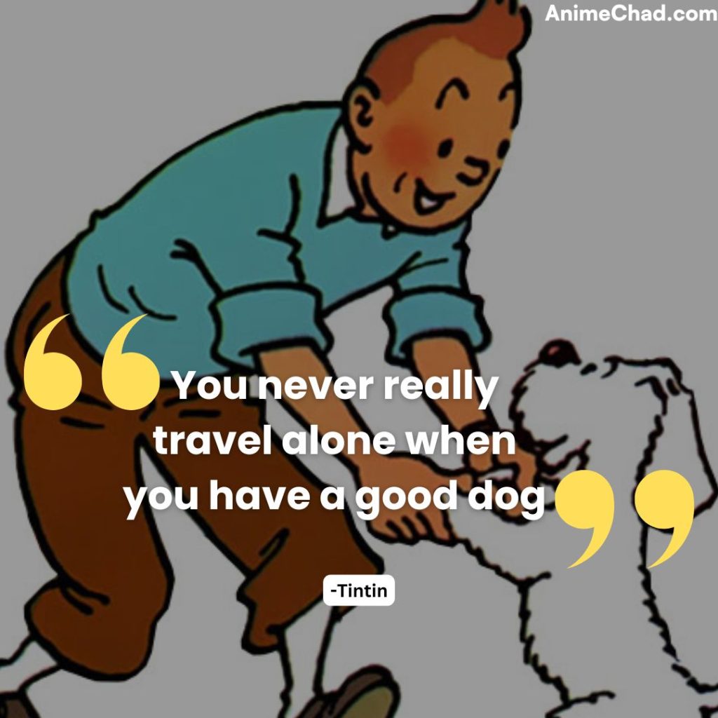 Tintin Quotes (11)