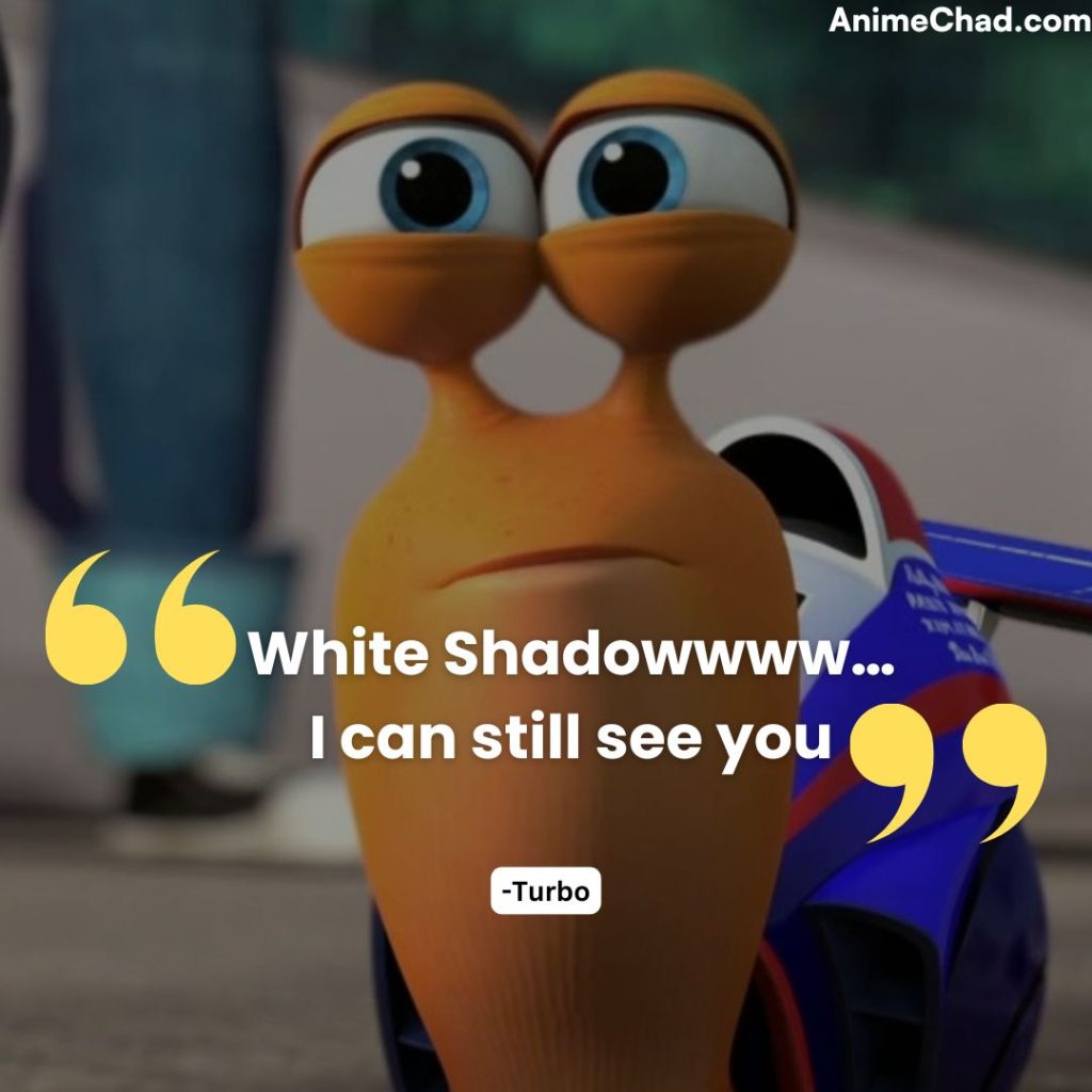 Turbo Quotes (4)
