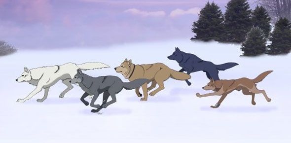Wolf’s Rain
