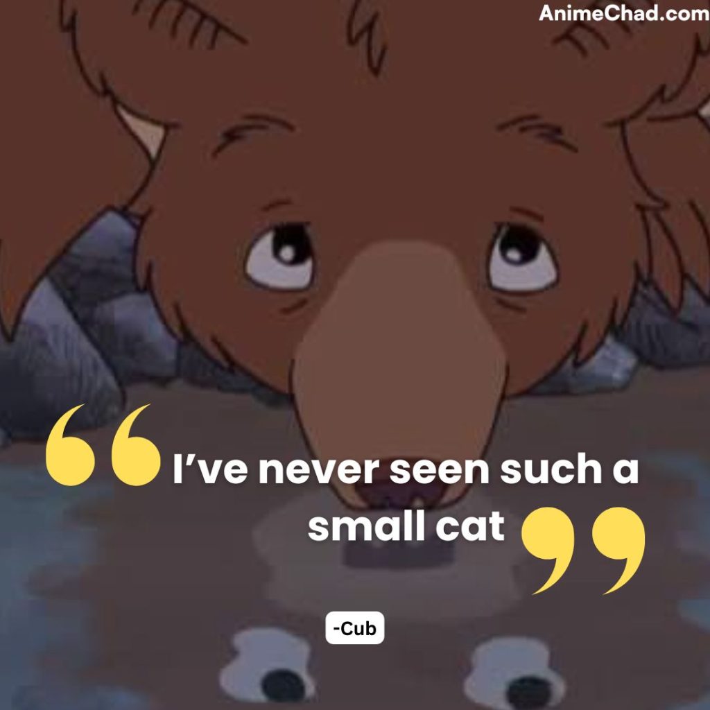 Cub Quotes (3)