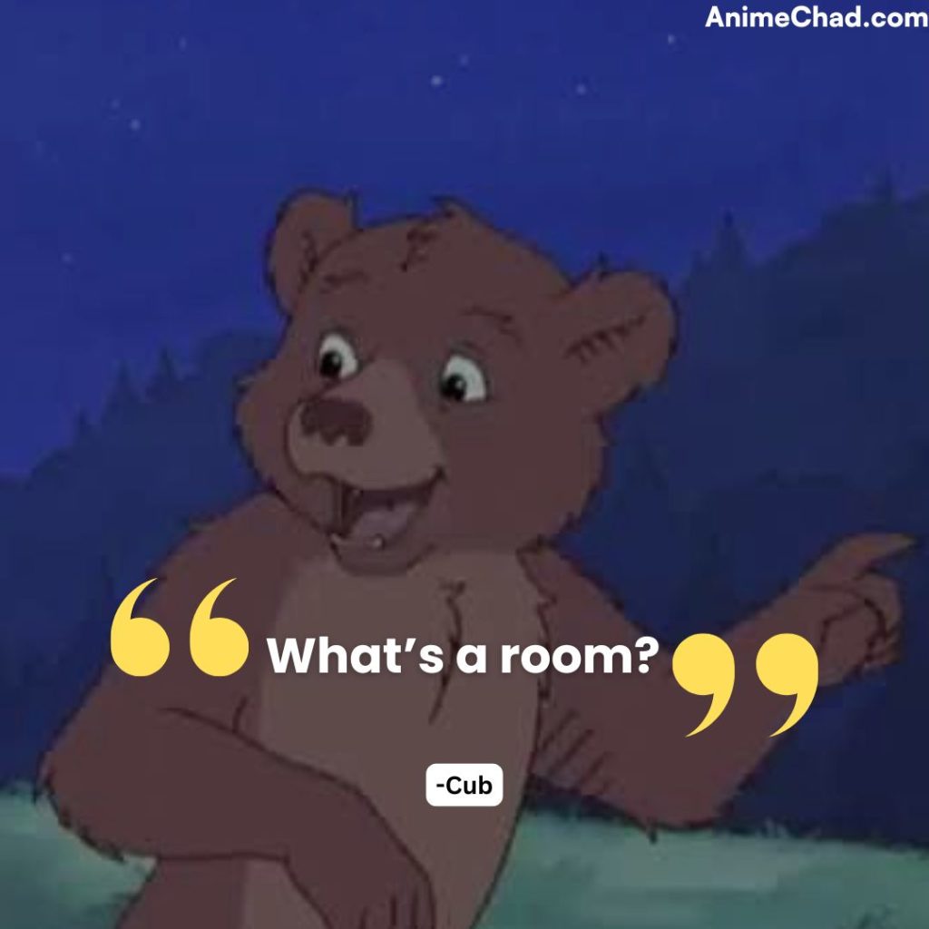 Cub Quotes (6)