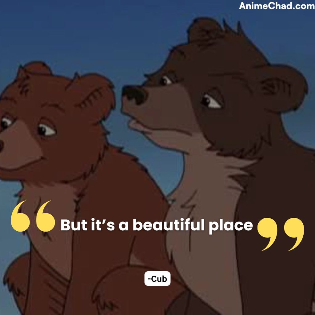 Cub Quotes (8)