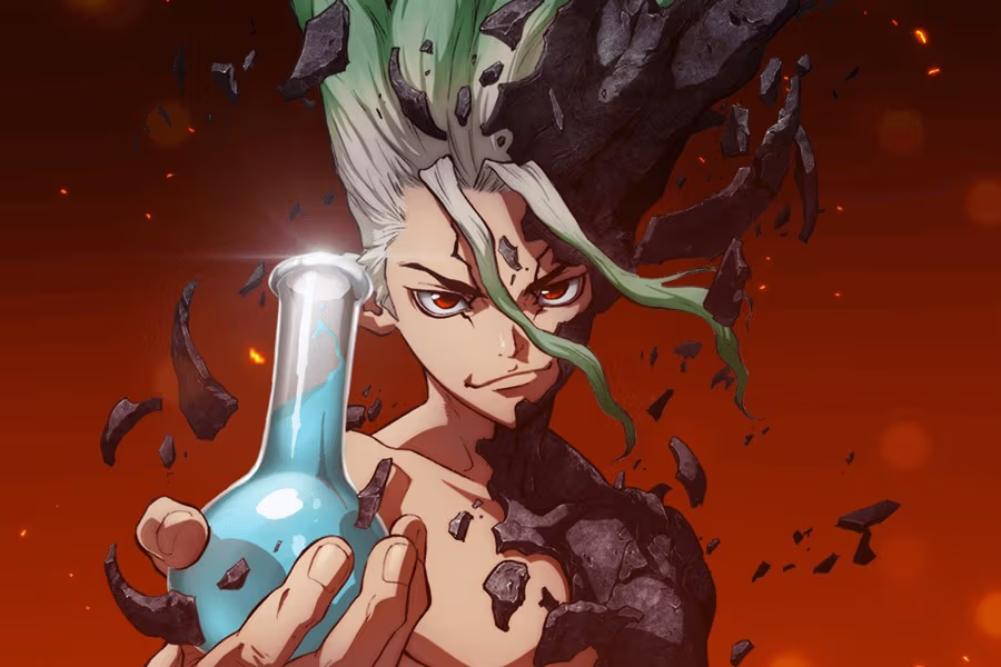 Dr. Stone