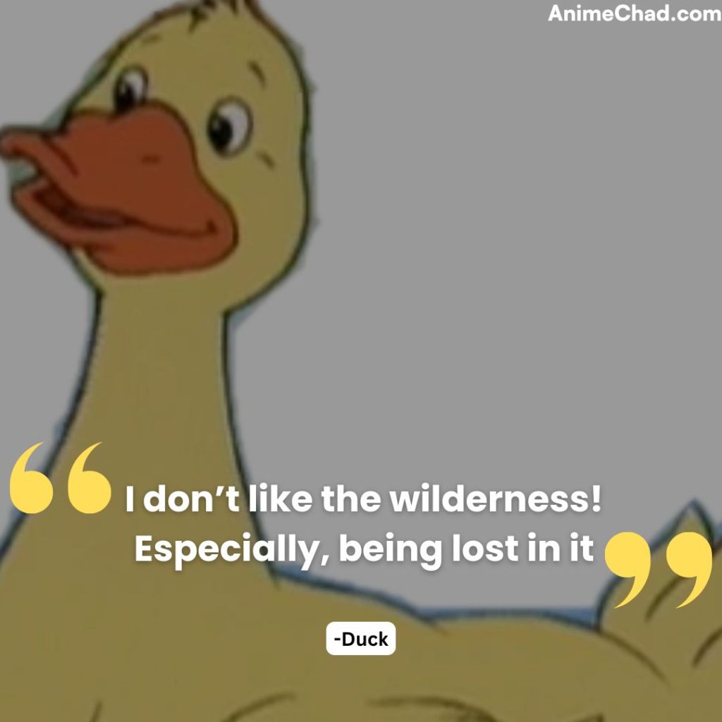 Duck Quotes (1)