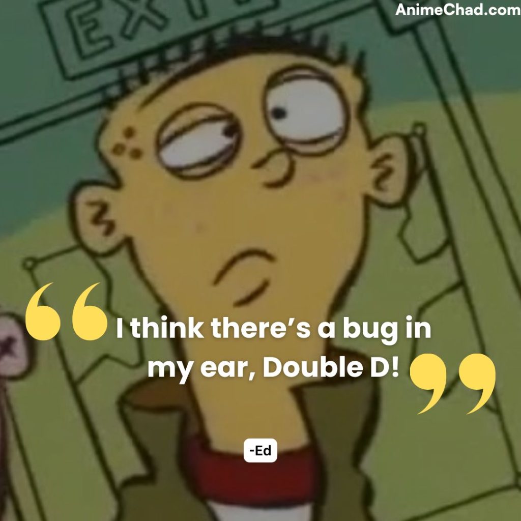 Ed Quotes (11)