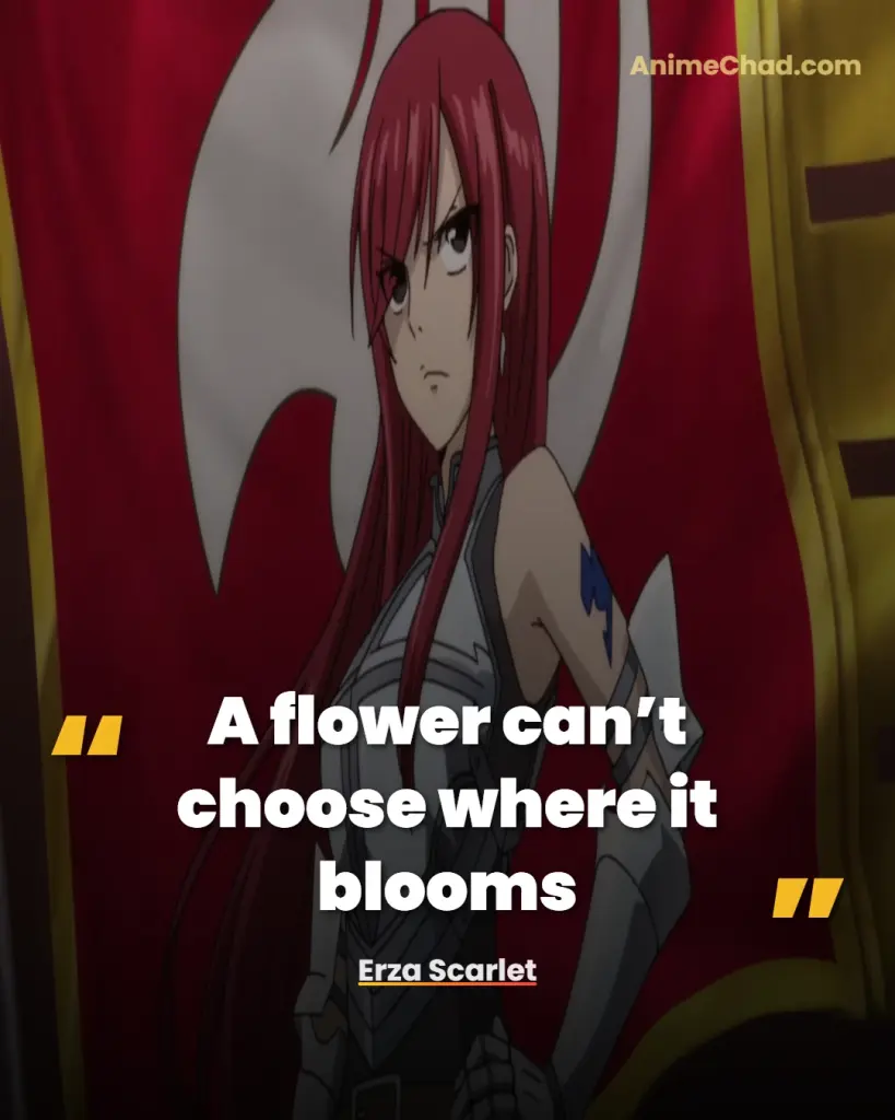 Erza Scarlet Quotes (1)
