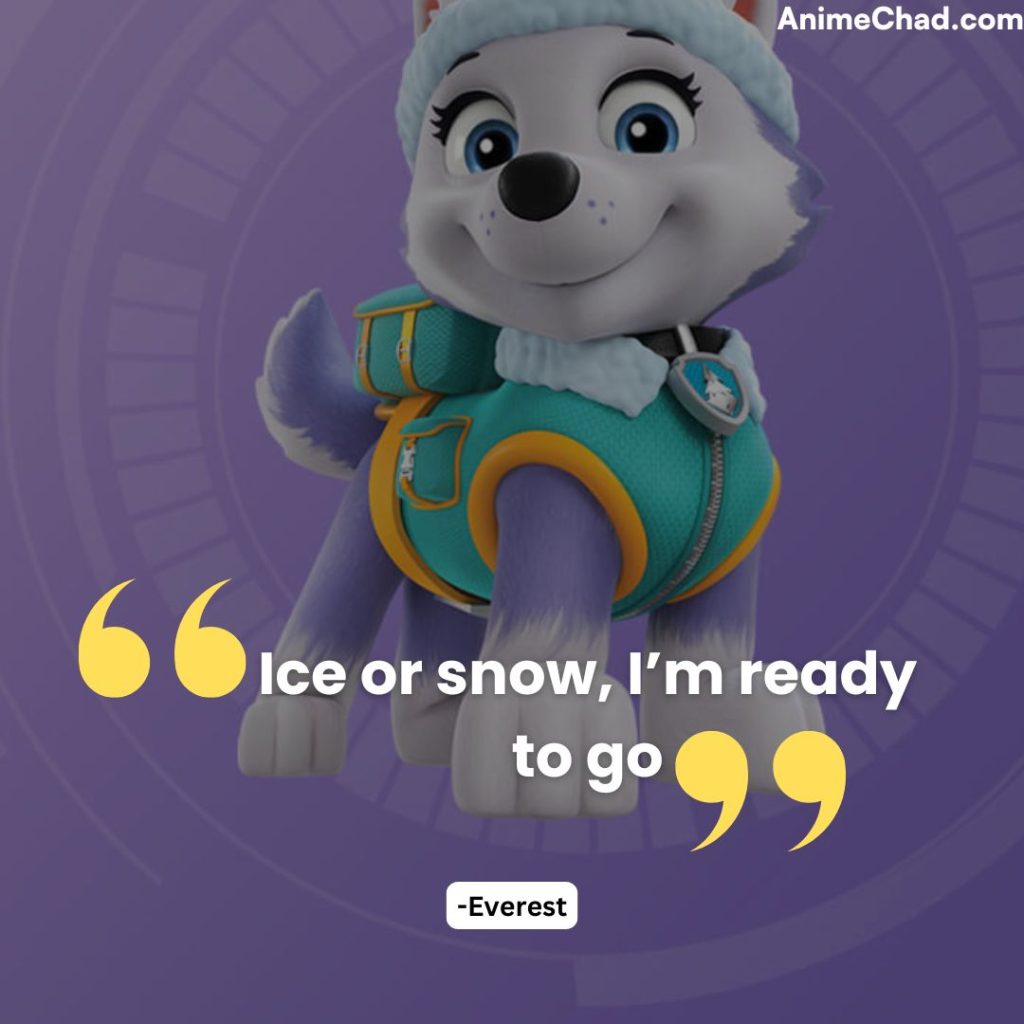 Everest Quotes