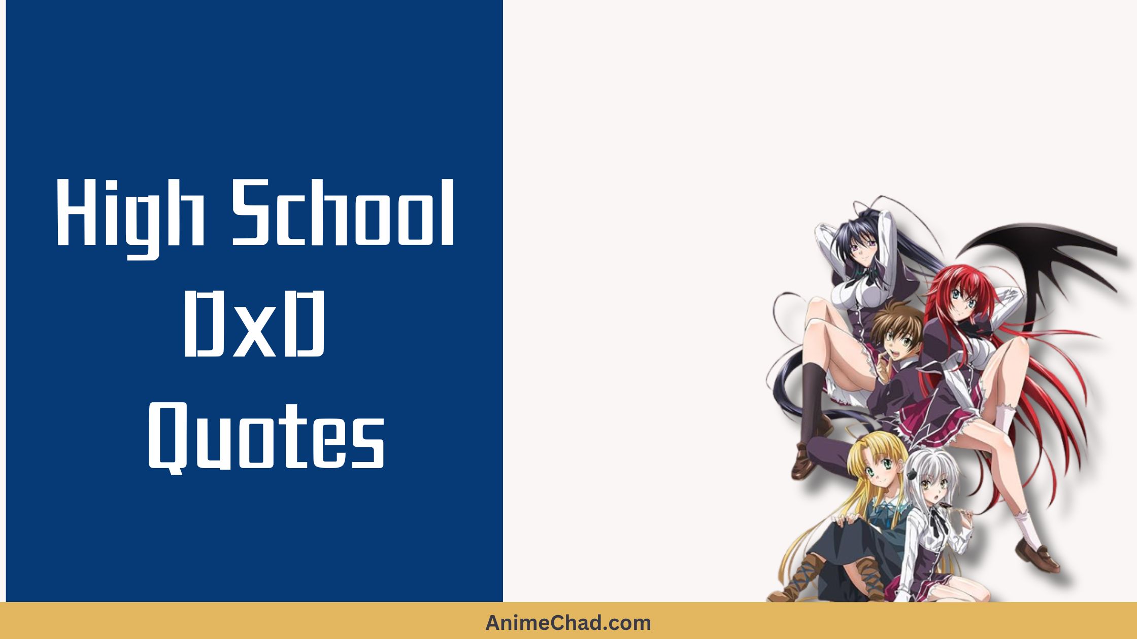 High School Dx D Quotes (1)