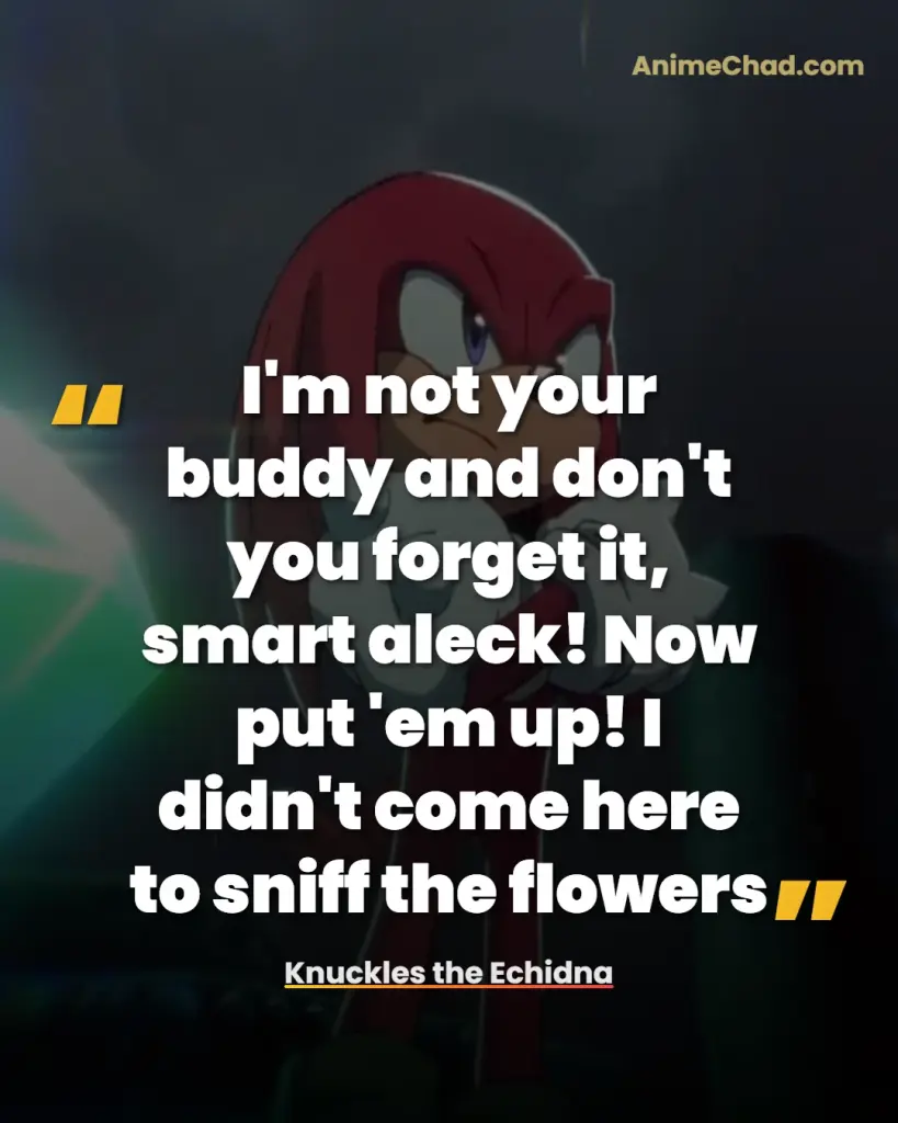 Knuckles The Echidna Quotes (2)