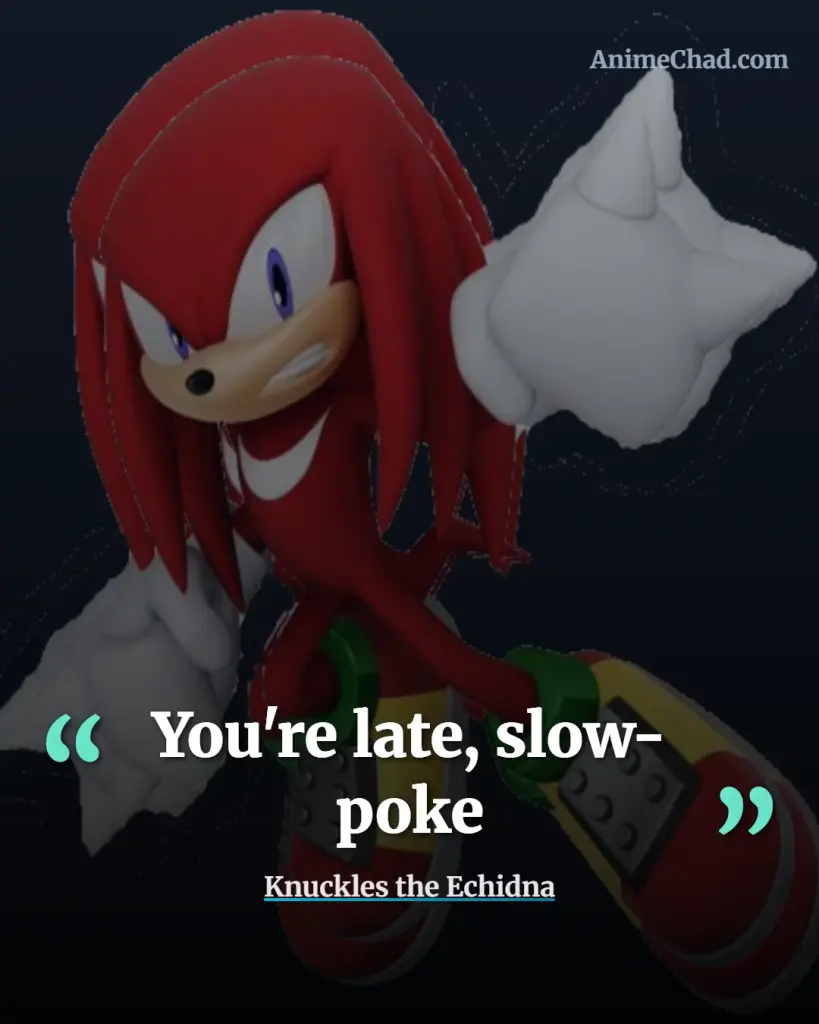Knuckles The Echidna Quotes